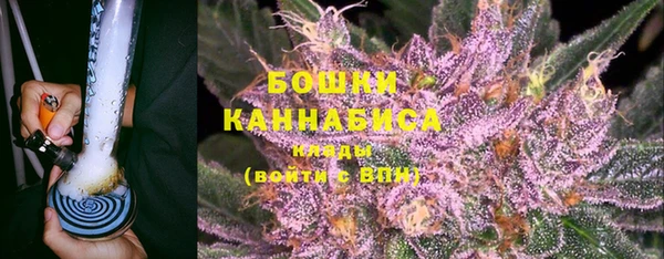 спиды Богданович