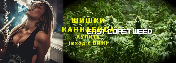 спиды Богданович