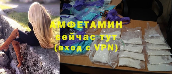 спиды Богданович