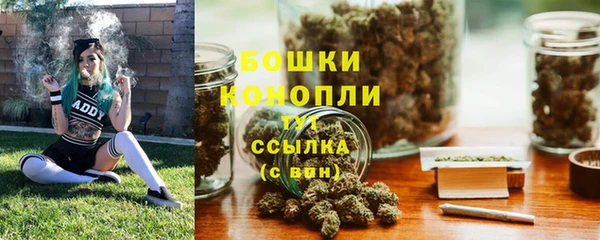 прущие грибы Богородск