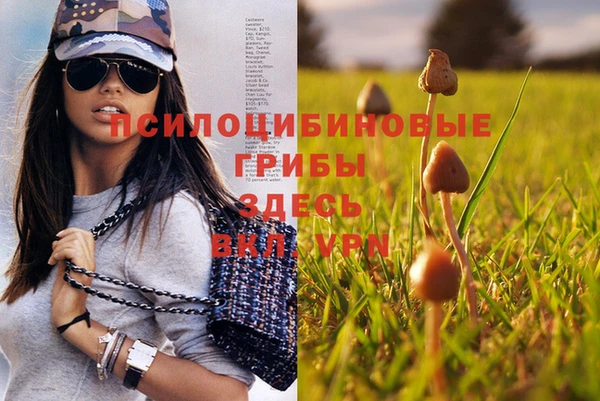 прущие грибы Богородск