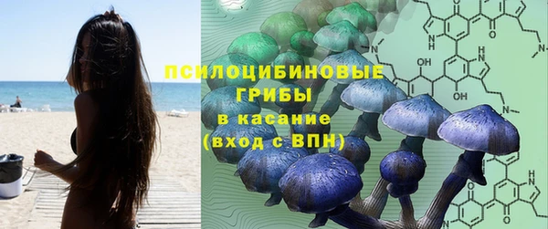 мескалин Верхний Тагил