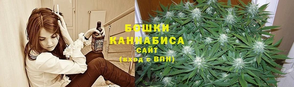прущие грибы Богородск