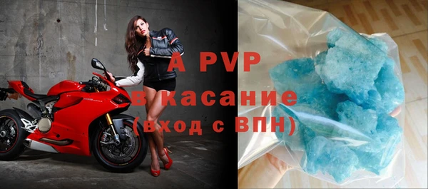 стаф Белокуриха